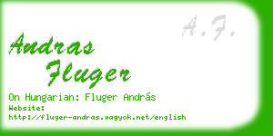 andras fluger business card